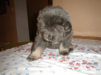 /album/ason/ason-5-000-jpg/